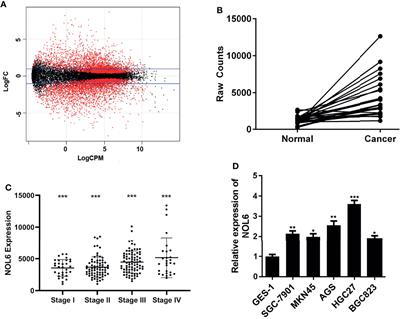 NOL6 Regulates the Proliferation and Apoptosis of Gastric Cancer Cells via Regulating TP53I3, CDK4 and MCM7 Expression